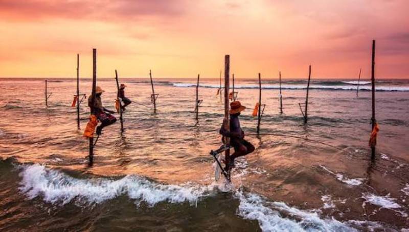 Adventure Tour Package, Family tour Package, Honeymoon Tour Package, Solo Tour Package