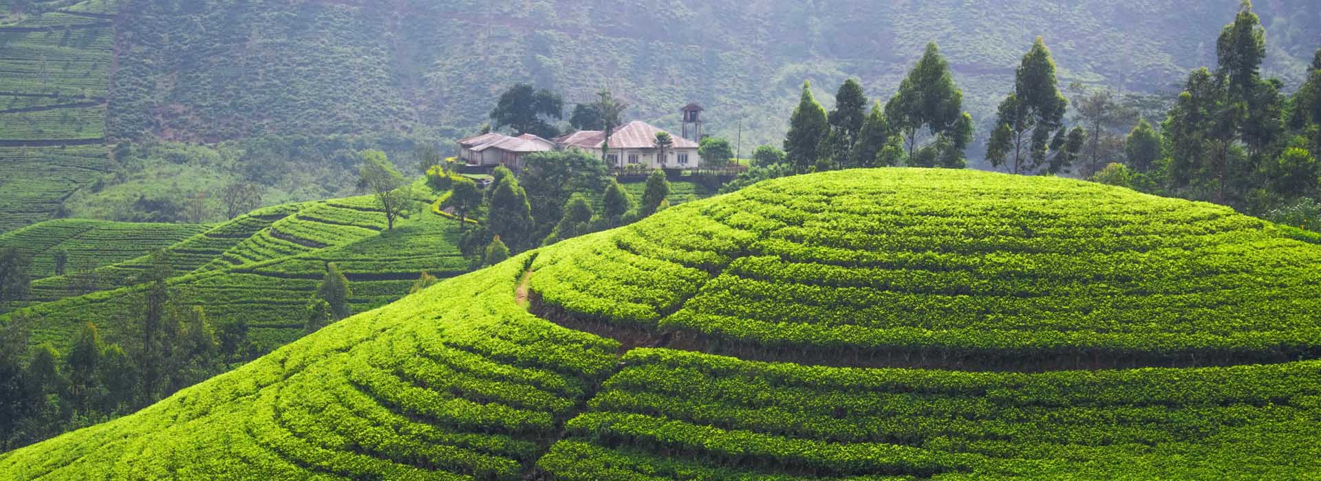 Adventure Tours, Honeymoon Tours, Hill station Tours