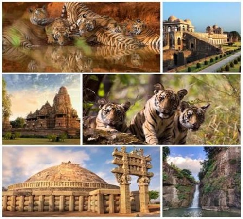 Heart of India Escape - Madhya Pardesh tour package