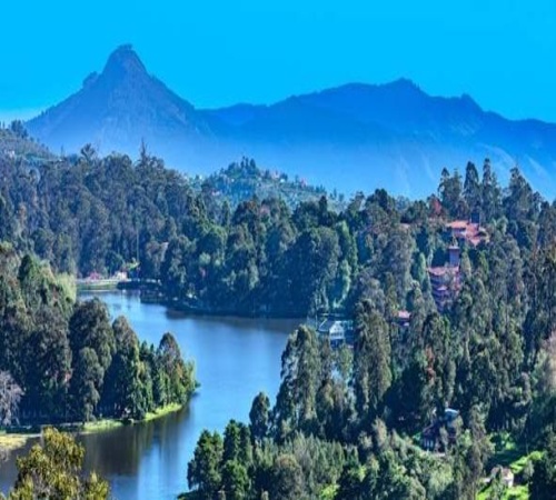 Kodaikanal Family Tour - Kodaikanal tour package