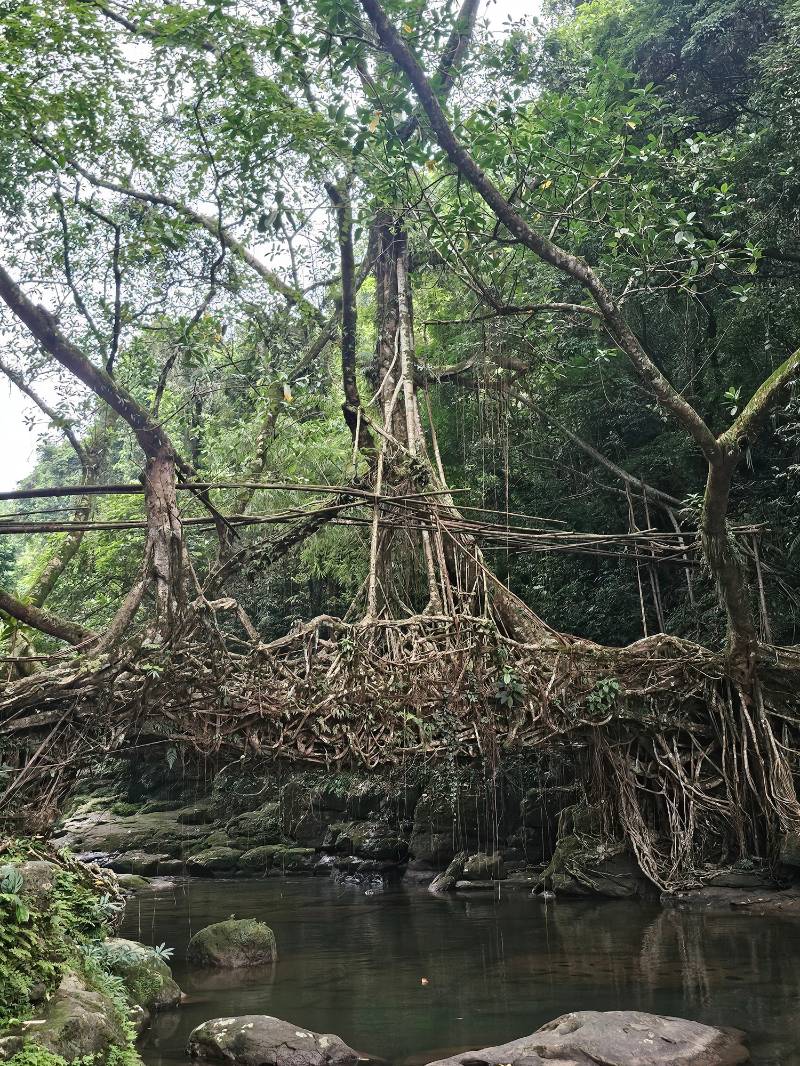 Rain, Roots & Wonders - Meghalaya (Shillong 1N – Cherrapunji 1N – Dawki 1N)