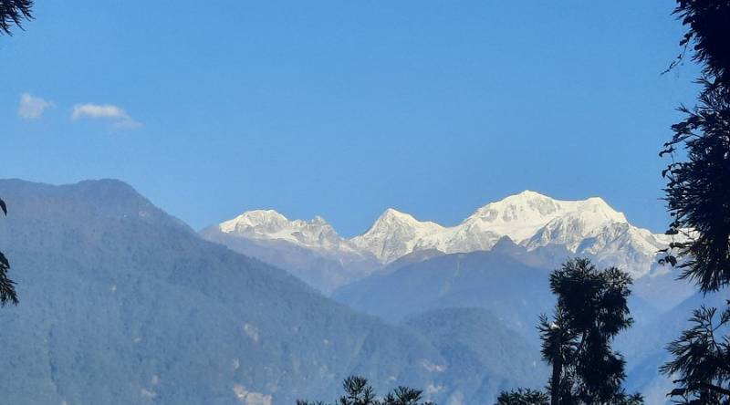 Hidden Gem of Darjeeling
